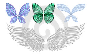 Set of wings of different butterflies and a swan. Vector illustration.