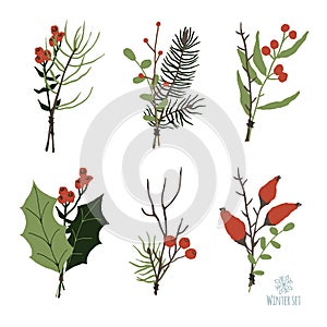 Set of winter floral decoration element with pine, leaves, berries and spruce. Hand drawn style.