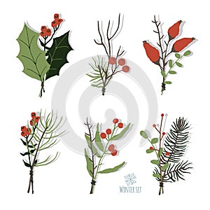 Set of winter floral decoration element with pine, leaves, berries and spruce. Hand drawn style