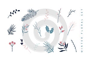 Set of winter floral decoration element with pine, leaves, berries and spruce. Hand drawn style.