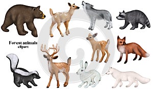 Set of winter woodland animals, forest cute characters clipart