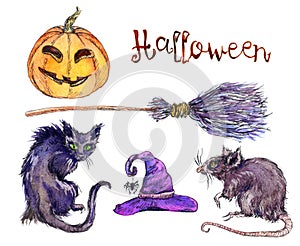 Set of witchs hat, pumpkin, cat, rat Halloween