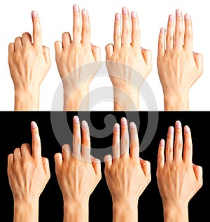 Set of woman hands count on fingers isolated on black and white background