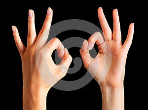 Set of woman hands holding gesture of okay or letter O. Sign of success or luck