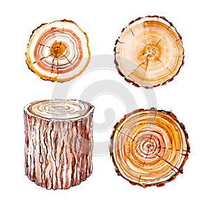 Set of wood stumps painted in watercolor