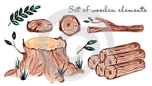 Set of wooden elements - stump, firewood, branches, logs and round saw cuts.