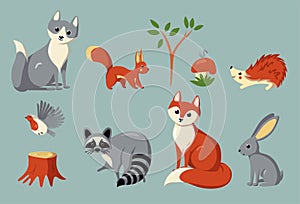Set of woodland animals and plants. Vector illustration