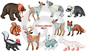 Set of woodland animals in winter clothes, Christmas cute characters clipart