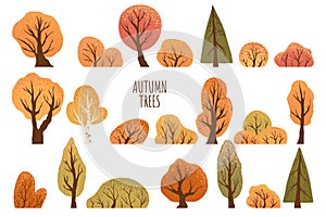 Set of yellow autumn trees and bushes. Maple, birch, oak, aspen, fir-tree and shrubs. Isolated on white background. Hand drawn