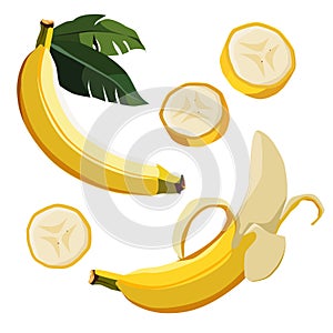 Set of yellow banana and slices. Isolated vector sliced fruit in flat style. Clipart for design