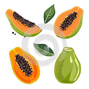 Set of yellow green papaya and slices. Isolated vector summer fruit for flat design