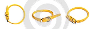 Set with yellow leather dog collars on background. Banner design