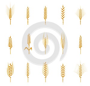 A set of yellow wheat spike icons.