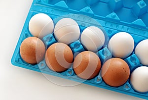 A set of yellow and white eggs