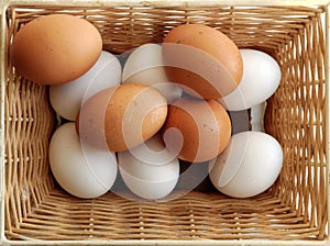 A set of yellow and white eggs