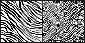 Set of zebra skin seamless pattern. Black and white zebra skin stripes.