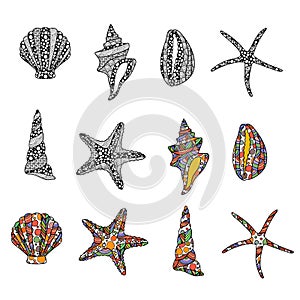 Set of zen art style hand drawn sea stars and conch shells isolated on white background