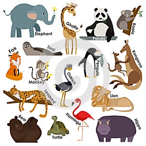 Set of zoo cartoon animals. Flat style design