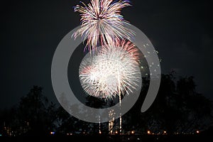 Setagaya-ku, Tama River fireworks display 2019