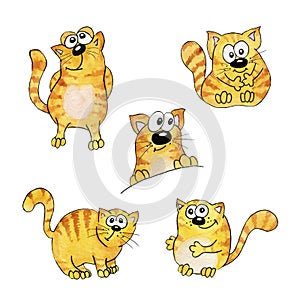 Seth watercolor. Orange, striped funny cats in cartoon style