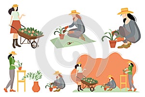 Seth women in the garden. Gardening. Gardener with a cart and flowers, grows indoor plants, plants flowers in the garden