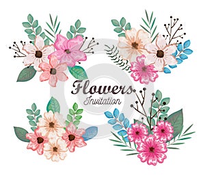 Setof beautiful flowers and leafs invitation card