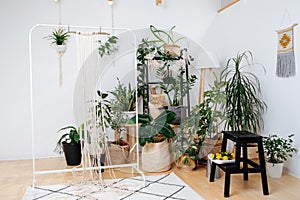 Setting for macrame weaving inside a bright home greenhouse