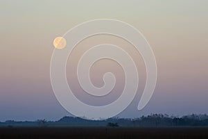 Setting Moon, Everglades National Park.