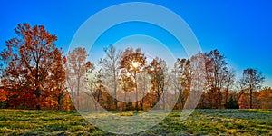 Setting sun behind Fall colored trees with blue sky