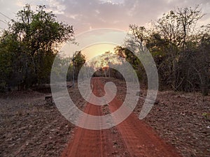 The setting sun behind a road at tadoba andhari tiger reserve