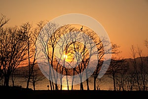 The setting sun and a heron from the east bank of Lake Biwa