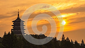Sunset Glow at Leifeng Pagoda photo