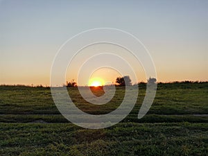 The setting sun over the meadow