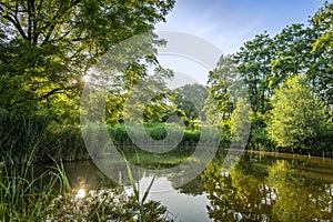 The setting sun is reflected in this pond in De Wijdse Weide park in Zoetermeer