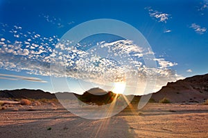 Setting sun tree in desert