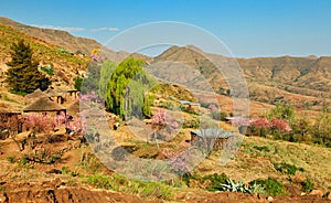 Settlement with huts in rural Lesotho
