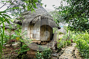 Settlement of indigenous community in jungl, Ecuador
