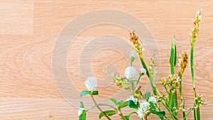 Setup green grass and wall background.