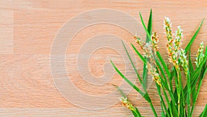 Setup green grass and wall background.