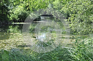 the Seugne in Jonzac