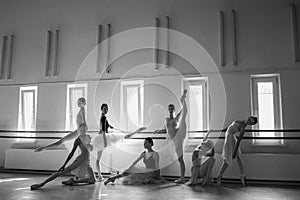 The seven ballerinas at ballet bar