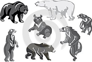 Seven bears isolated on white