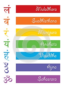 The seven bija mantras with chakras set Sanskrit colorful letterig isolated on white background. Vector colors of the chakras sign