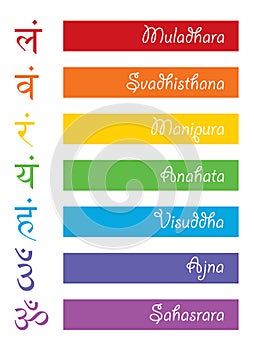 The seven bija mantras with chakras set Sanskrit colorful letterig isolated on white background. Vector colors of the chakras sign photo