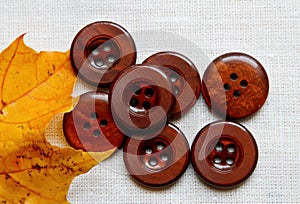 Seven brown buttons and yellow maple leaf