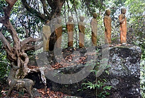 Seven Buddhas in the Forest, Induwaru, Sri Lanka