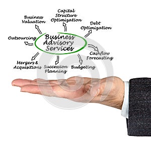 Seven Business Advisory Services