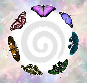 Seven Chakra Coloured Butterfly Healing Circle Border