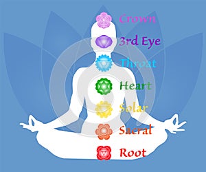 The seven chakra names map. Famale body in lotus yoga asana on blue petals background. Root, Sacral, Solar, Heart, Throat, 3rd Eye