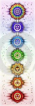 The Seven Chakras